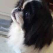 ヒメ日記 2026/01/10 09:46 投稿 柳田 久留米デリヘルセンター