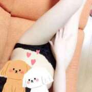 ヒメ日記 2025/10/05 21:01 投稿 こころ Gossip girl小岩店