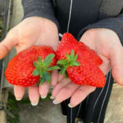 ヒメ日記 2025/01/31 09:37 投稿 りほ 奥鉄オクテツ兵庫