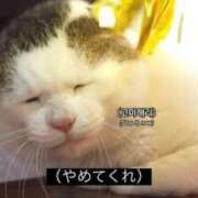 ヒメ日記 2025/01/16 15:26 投稿 ゆず マリン宇都宮店