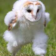 ヒメ日記 2025/02/28 20:06 投稿 ゆず マリン宇都宮店