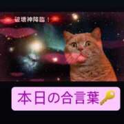 ヒメ日記 2025/03/01 09:46 投稿 ゆず マリン宇都宮店