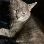 ヒメ日記 2025/04/07 22:30 投稿 ゆず マリン宇都宮店