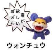 ヒメ日記 2025/06/10 04:16 投稿 ゆず マリン宇都宮店