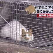 ヒメ日記 2025/10/08 02:16 投稿 ゆず マリン宇都宮店