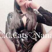 ヒメ日記 2024/05/31 23:34 投稿 なな C.C.CATS