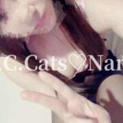 ヒメ日記 2024/09/19 21:17 投稿 なな C.C.CATS