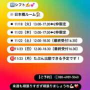 ヒメ日記 2025/11/15 23:19 投稿 美神 Bell.Madonna（ベルマドンナ）