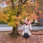 ヒメ日記 2025/11/28 08:17 投稿 美神 Bell.Madonna（ベルマドンナ）