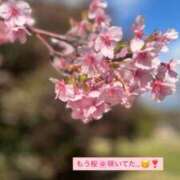 ヒメ日記 2026/03/18 15:04 投稿 美神 LA BELLA（ラベーラ）