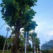 ヒメ日記 2025/10/13 08:50 投稿 こころ 和風パブ大江戸