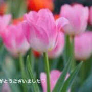 ヒメ日記 2025/03/01 08:05 投稿 りほ 奥鉄オクテツ大阪