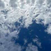 ヒメ日記 2025/03/22 21:22 投稿 ゆず 女帝