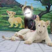 ヒメ日記 2025/10/17 09:42 投稿 ゆず 女帝