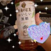 ヒメ日記 2025/03/11 23:50 投稿 ゆいか Hip's千葉駅前店