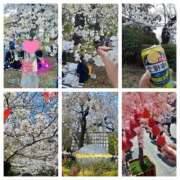 ヒメ日記 2025/04/01 08:04 投稿 ゆいか Hip's千葉駅前店