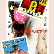 ヒメ日記 2025/06/23 00:52 投稿 ゆいか Hip's千葉駅前店