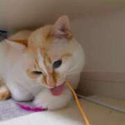 ヒメ日記 2025/08/02 14:42 投稿 ゆいか Hip's千葉駅前店