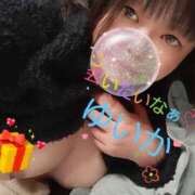 ヒメ日記 2025/11/07 10:03 投稿 ゆいか Hip's千葉駅前店