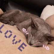 ヒメ日記 2025/11/12 16:02 投稿 ゆいか Hip's千葉駅前店