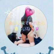 ヒメ日記 2025/11/13 13:02 投稿 ゆいか Hip's千葉駅前店