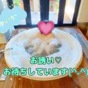 ヒメ日記 2025/12/14 11:12 投稿 ゆいか Hip's千葉駅前店