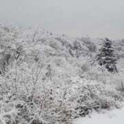 ヒメ日記 2026/02/08 10:12 投稿 ゆいか Hip's千葉駅前店