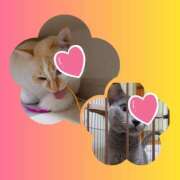 ヒメ日記 2026/02/22 23:12 投稿 ゆいか Hip's千葉駅前店