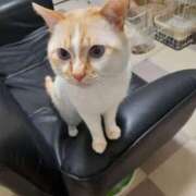 ヒメ日記 2026/03/01 10:15 投稿 ゆいか Hip's千葉駅前店