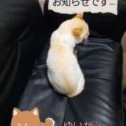 ヒメ日記 2026/05/16 21:22 投稿 ゆいか Hip's千葉駅前店
