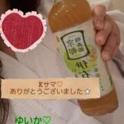 ヒメ日記 2026/06/15 10:10 投稿 ゆいか Hip's千葉駅前店