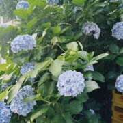 ヒメ日記 2025/07/12 15:30 投稿 なの まだ舐めたくて学園渋谷校〜舐めたくてグループ〜