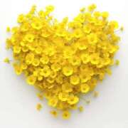 ヒメ日記 2025/09/22 13:00 投稿 とも 和風パブ大江戸