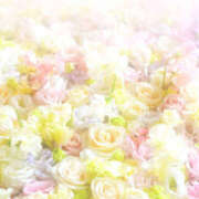 ヒメ日記 2025/10/06 10:39 投稿 とも 和風パブ大江戸