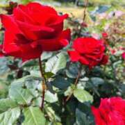 るちあ るちあ（スピード難波店） スピード難波店