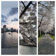 ヒメ日記 2025/05/02 23:28 投稿 まこ【人妻部門】 夜這い調教クラブ本店