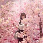 ヒメ日記 2025/03/21 12:18 投稿 姫香/Himeka ジュリエット