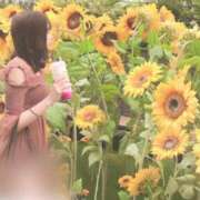 ヒメ日記 2025/08/19 09:12 投稿 姫香/Himeka ジュリエット