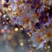 ヒメ日記 2025/11/10 07:03 投稿 姫香/Himeka ジュリエット