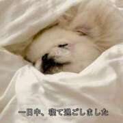 ヒメ日記 2025/12/16 23:12 投稿 姫香/Himeka ジュリエット