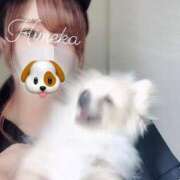 ヒメ日記 2026/05/03 09:15 投稿 姫香/Himeka ジュリエット