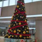 ヒメ日記 2025/11/24 11:14 投稿 香織(かおり) カサブランカ岡山店（カサブランカグループ）