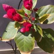 ヒメ日記 2025/02/20 06:59 投稿 あきら 倶楽部愛