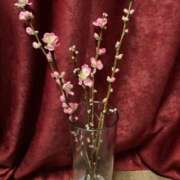 ヒメ日記 2025/02/22 06:57 投稿 あきら 倶楽部愛