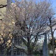 ヒメ日記 2025/04/06 18:27 投稿 あきら 倶楽部愛