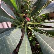 ヒメ日記 2025/05/01 07:36 投稿 あきら 倶楽部愛