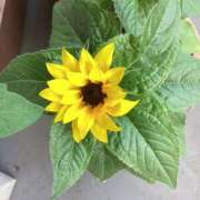 ヒメ日記 2025/06/05 06:39 投稿 あきら 倶楽部愛