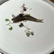 ヒメ日記 2025/06/20 06:38 投稿 あきら 倶楽部愛