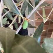 ヒメ日記 2025/07/24 08:05 投稿 あきら 倶楽部愛