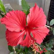 ヒメ日記 2025/07/27 06:39 投稿 あきら 倶楽部愛